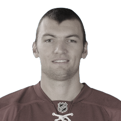 Martin Hanzal